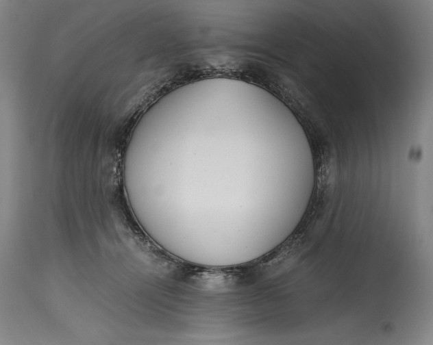 X0000115440464200911181527