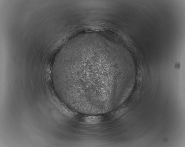 X0000115440465200911181527