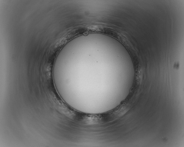X0000115440466200911181527