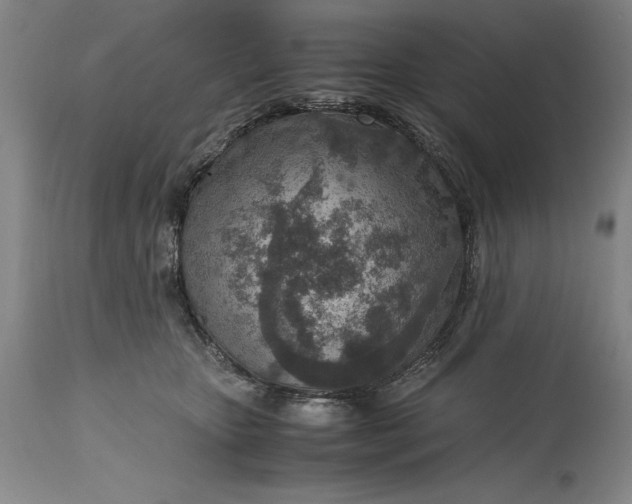 X0000115440467200911181527