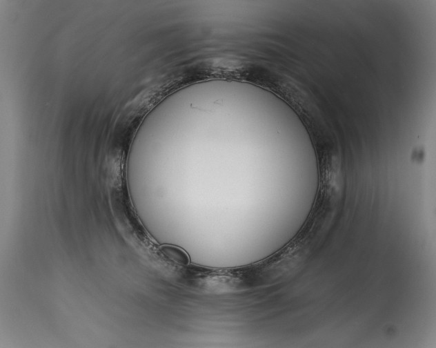 X0000115440468200911181527