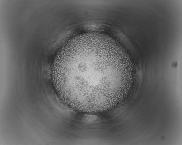 X0000115440469200911181527