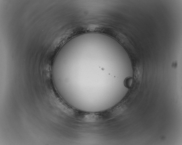 X0000115440470200911181527