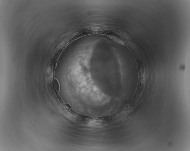 X0000115440471200911181527