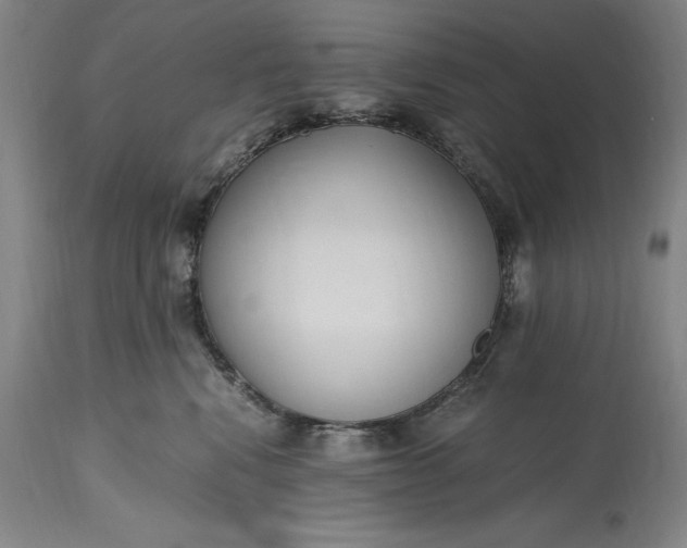 X0000115440472200911181527
