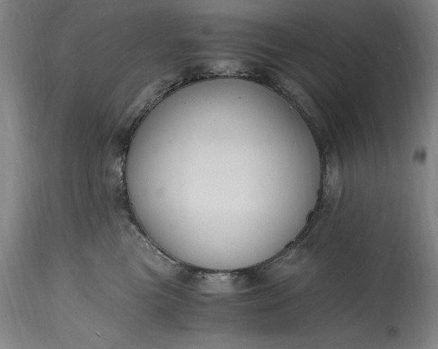 X0000115440473200911181527