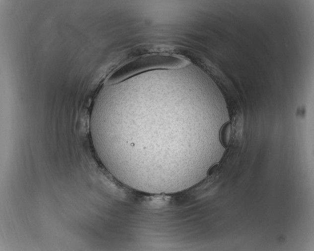 X0000115440474200911181528