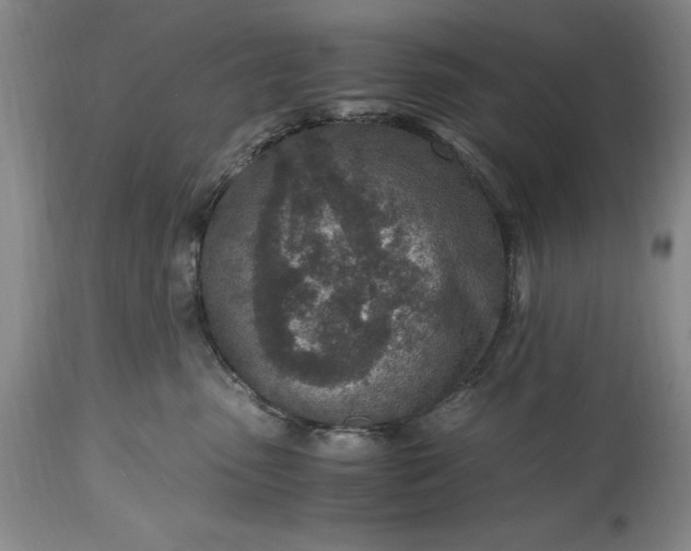 X0000115440475200911181528