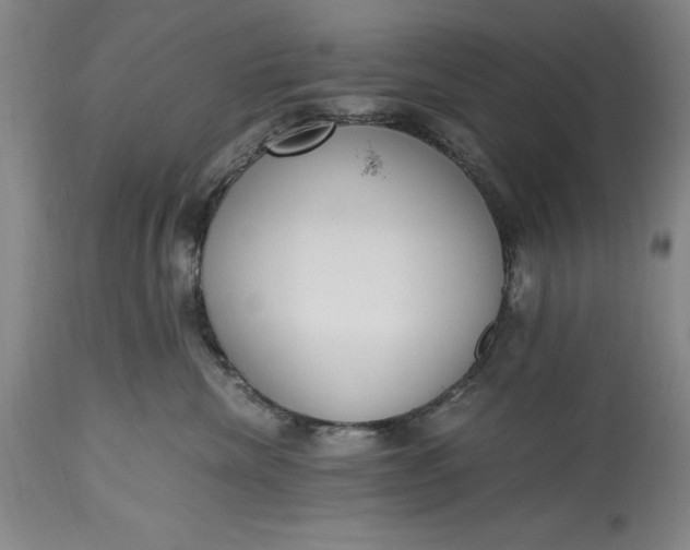 X0000115440476200911181528