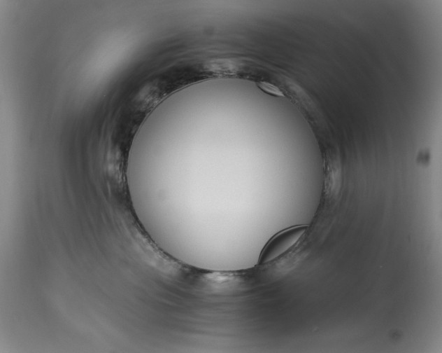 X0000115440477200911181528