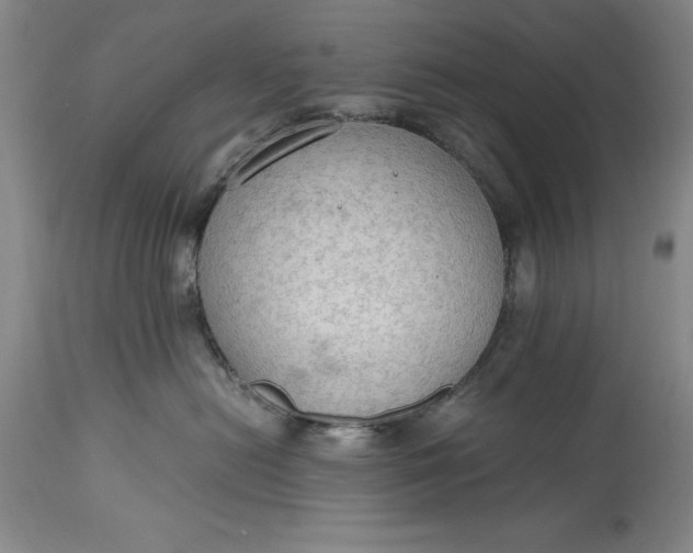 X0000115440478200911181528