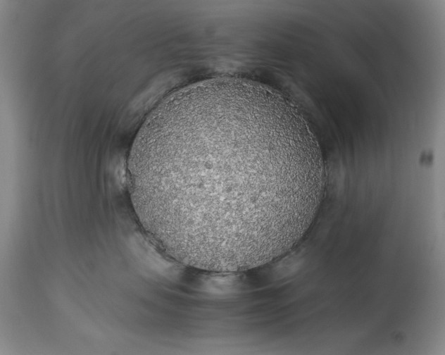 X0000115440479200911181528