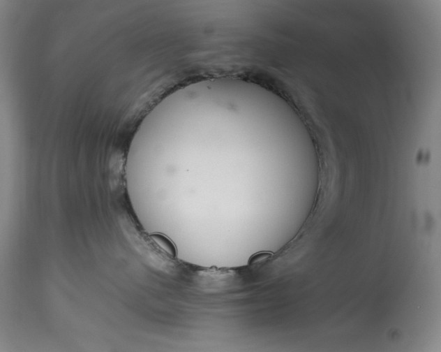 X0000115440480200911181528
