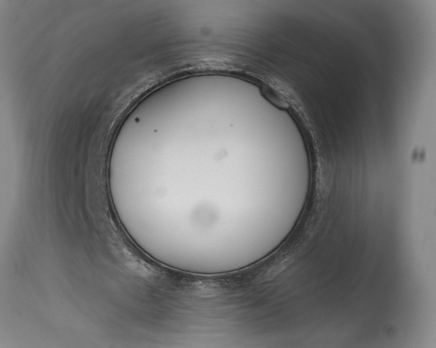 X0000115440481200911181527