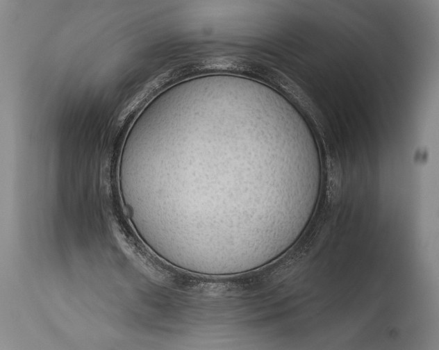 X0000115440482200911181527