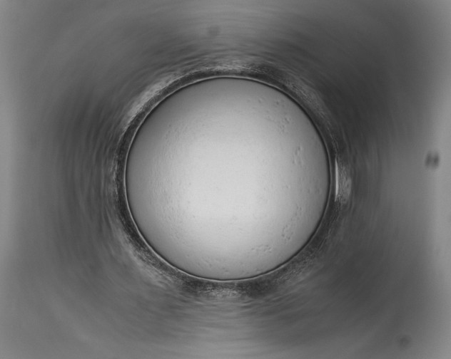 X0000115440483200911181527