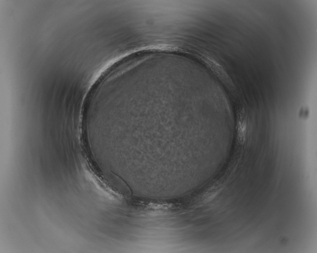 X0000115440484200911181527