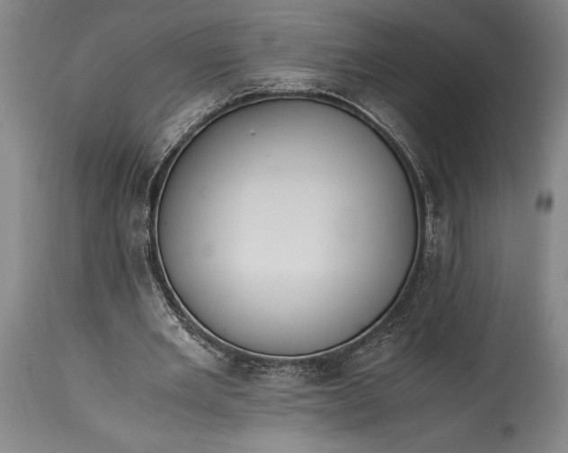 X0000115440485200911181527