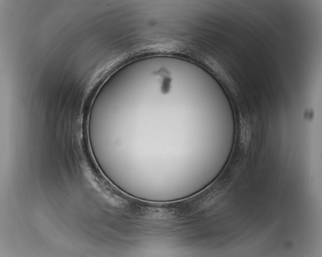 X0000115440486200911181527