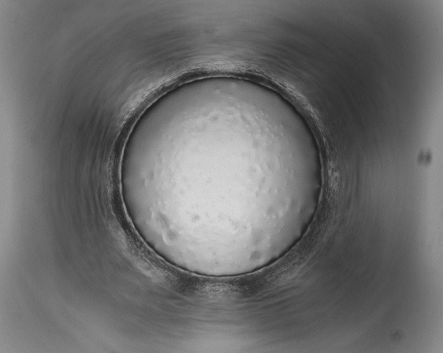 X0000115440487200911181527