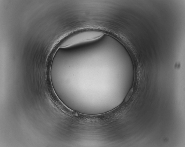 X0000115440488200911181527