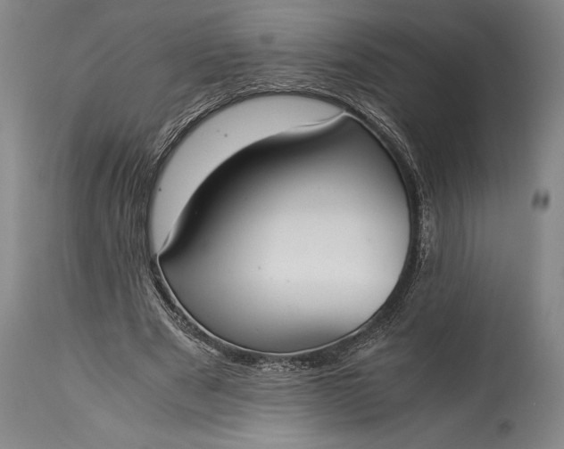 X0000115440489200911181527