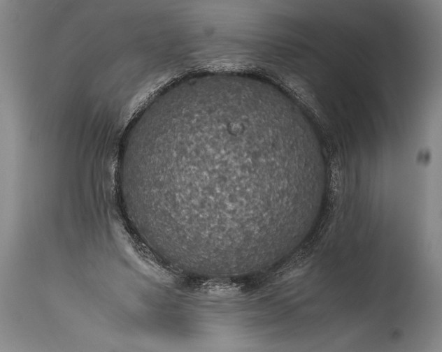 X0000115440491200911181527