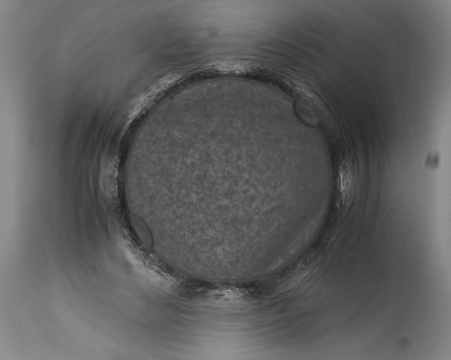X0000115440492200911181527