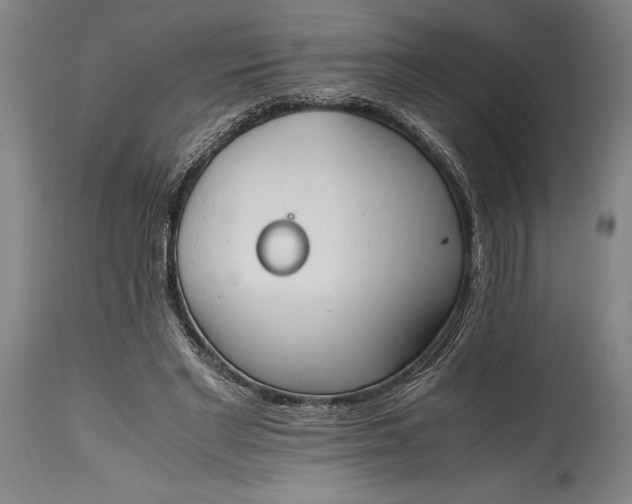 X0000115440493200911181527