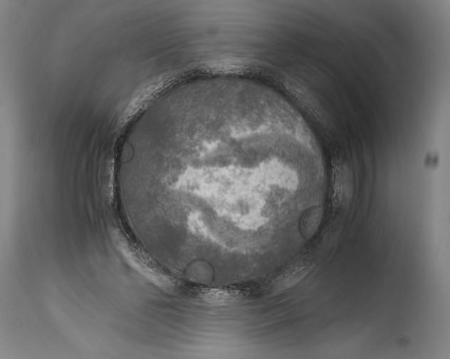 X0000115440494200911181527