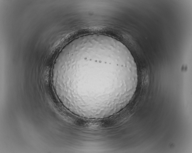 X0000115440495200911181527