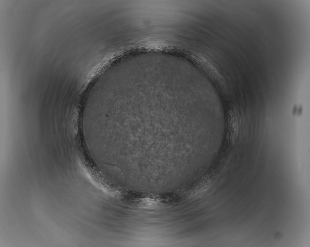 X0000115440496200911181527
