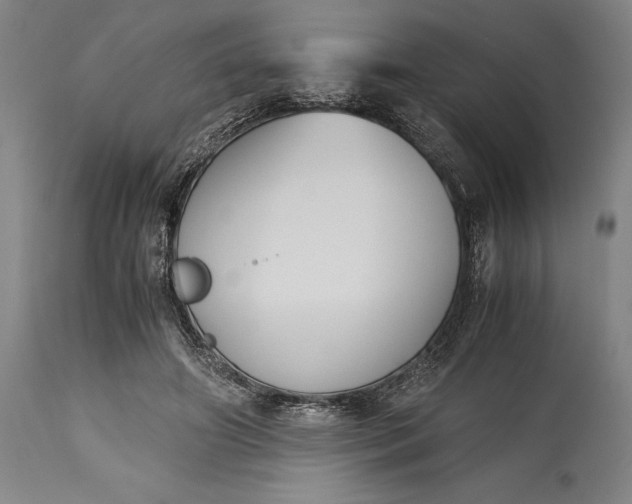 X0000115440498200911181527
