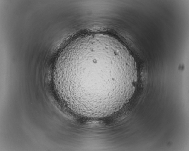 X0000115440499200911181527
