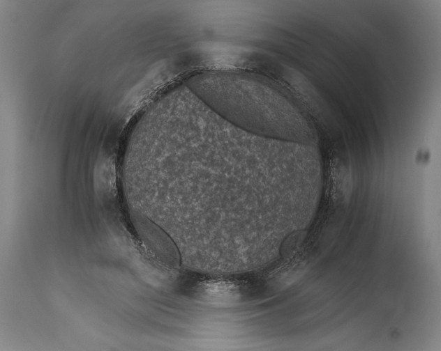 X0000115440500200911181526