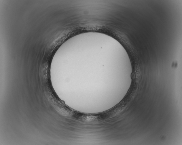 X0000115440501200911181526