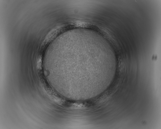 X0000115440502200911181526