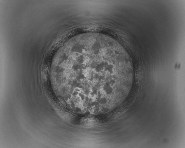 X0000115440503200911181526