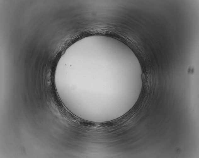 X0000115440504200911181526