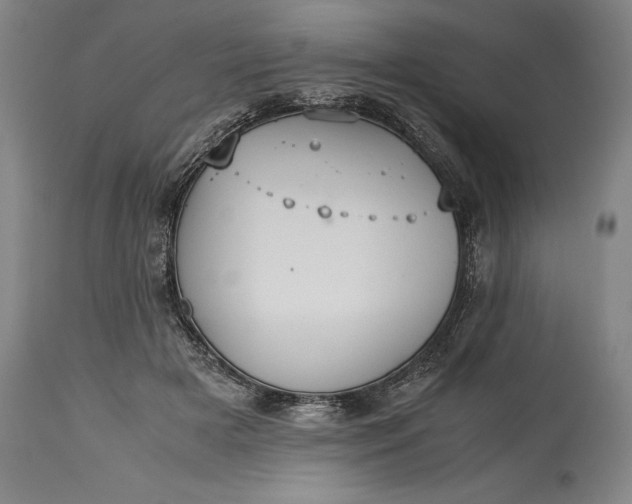 X0000115440505200911181526
