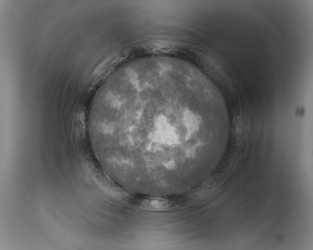 X0000115440506200911181526