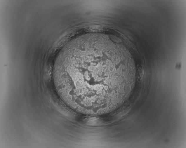 X0000115440507200911181526
