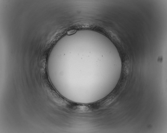 X0000115440509200911181526