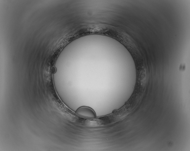 X0000115440510200911181526