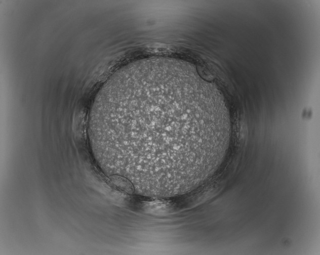 X0000115440511200911181526