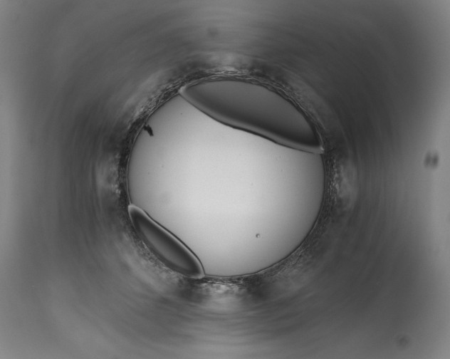 X0000115440512200911181526