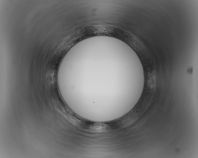 X0000115440514200911181526