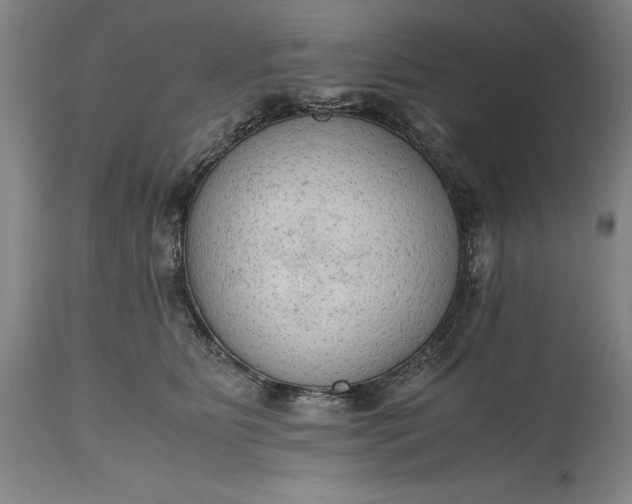 X0000115440515200911181526