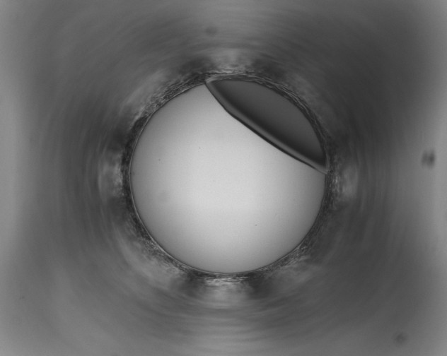 X0000115440516200911181526