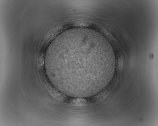 X0000115440517200911181526